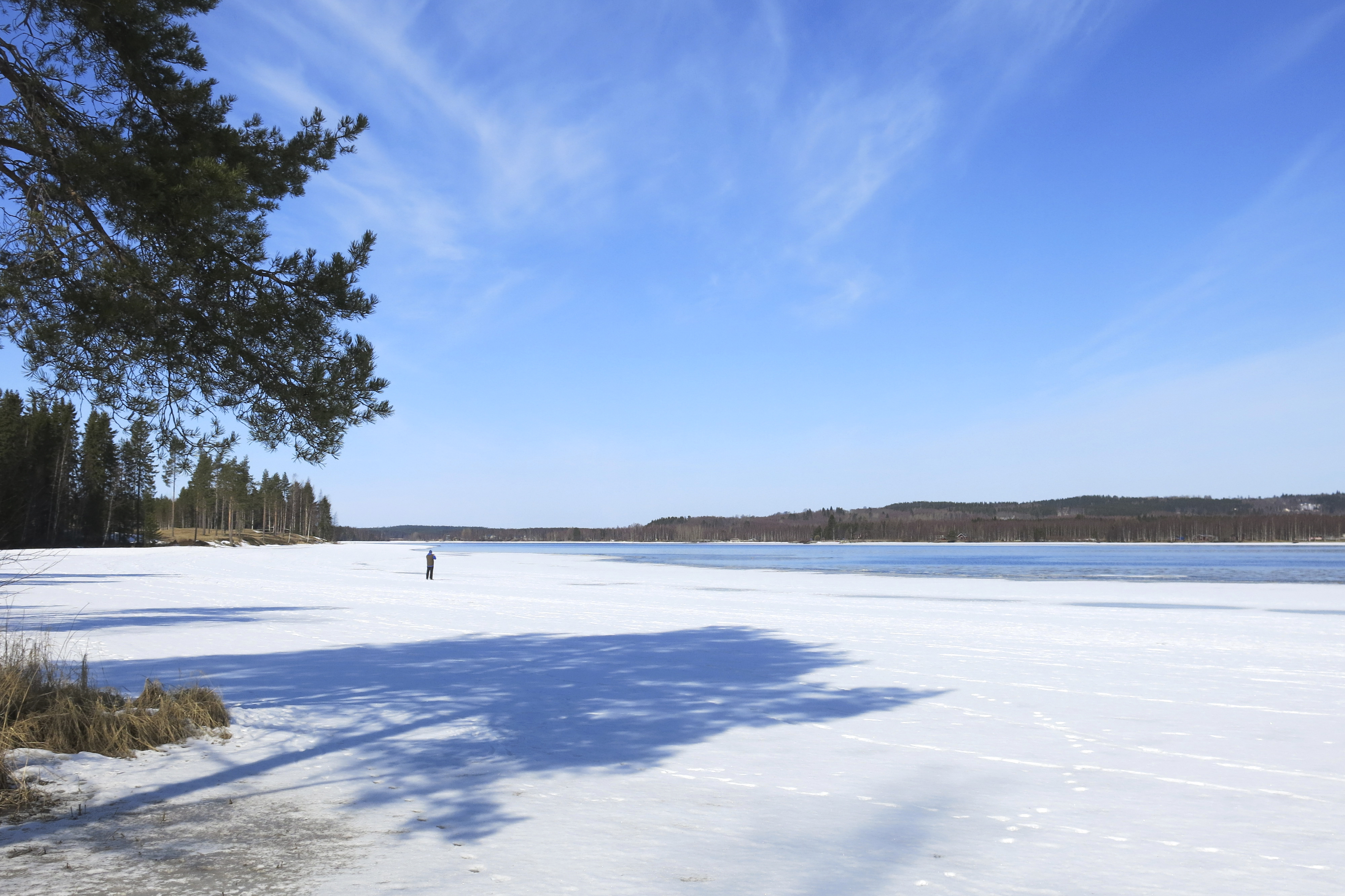 Talvinen merenrantamaisema. Aurinko paistaa ja kauempana näkyy hiihtäjä.