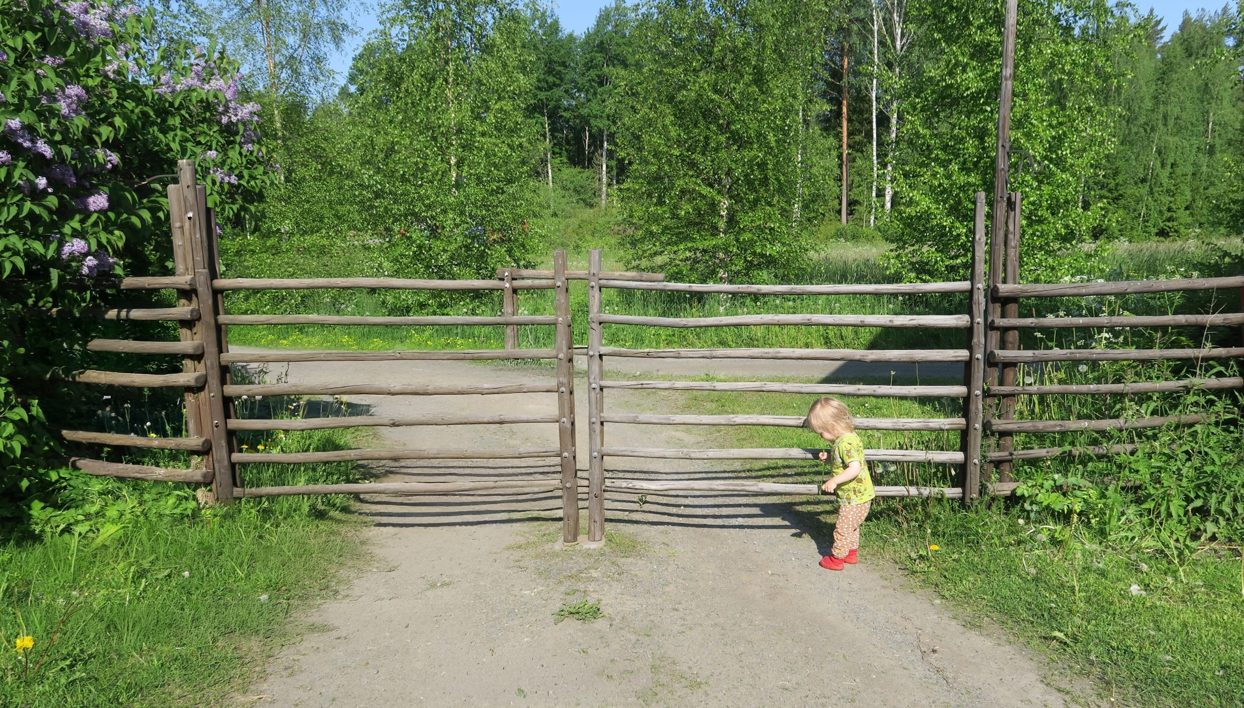 Pieni lapsi seisoo suuren seipäistä tehdyn portin vieressä.