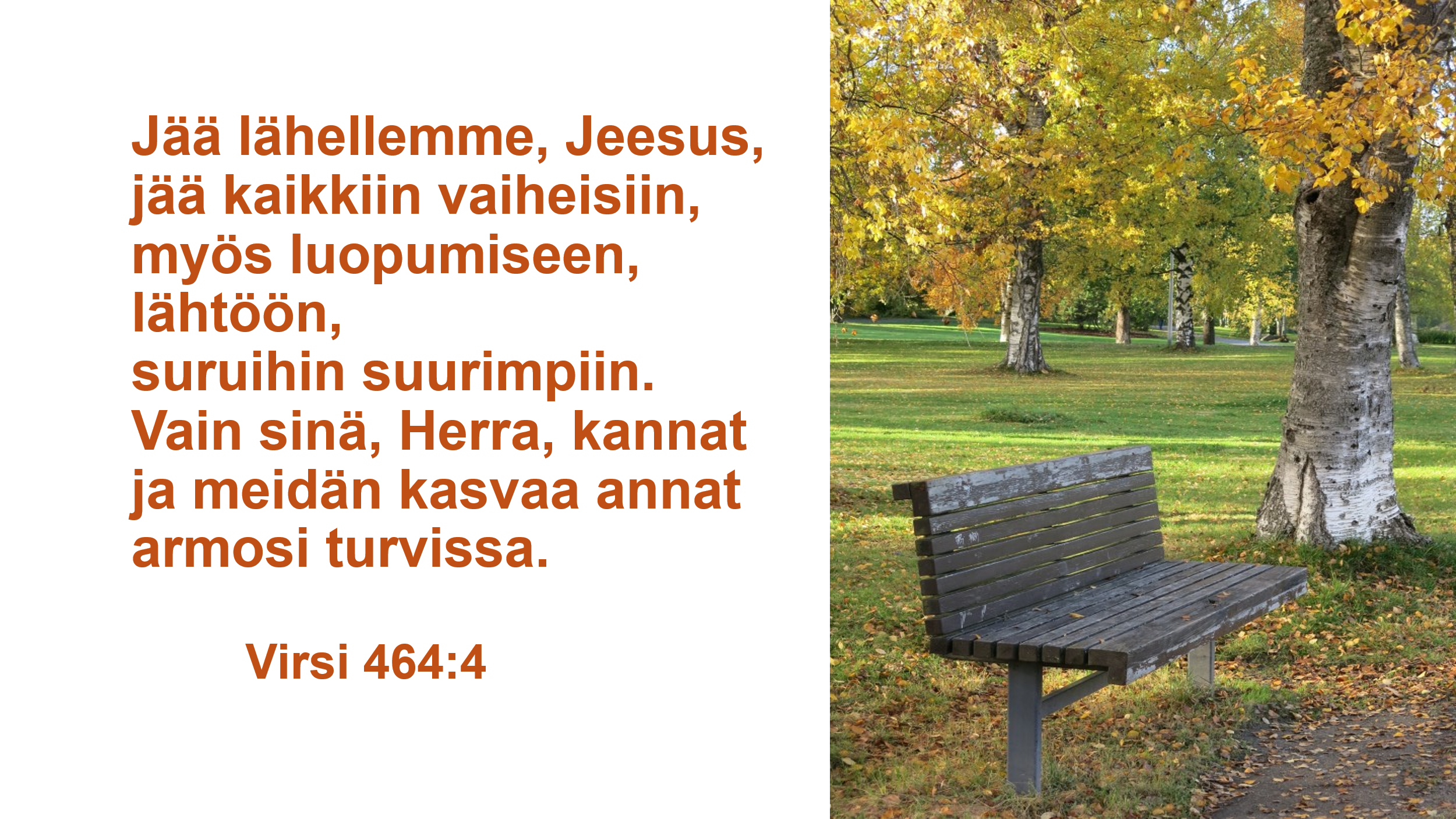 Teksti: Virsi  464:4  Jää lähellemme, Jeesus, jää kaikkiin vaiheisiin, myös luopumiseen, lähtöön, suruihin suurimpiin. Vain sinä, Herra, kannat ja meidän kasvaa annat armosi turvissa. Kuvassa vanha kulunut penkki puistossa, jossa kasvaa koivuja. Syksyinen aurinkoinen ilma. Kellertävät puun lehdet.