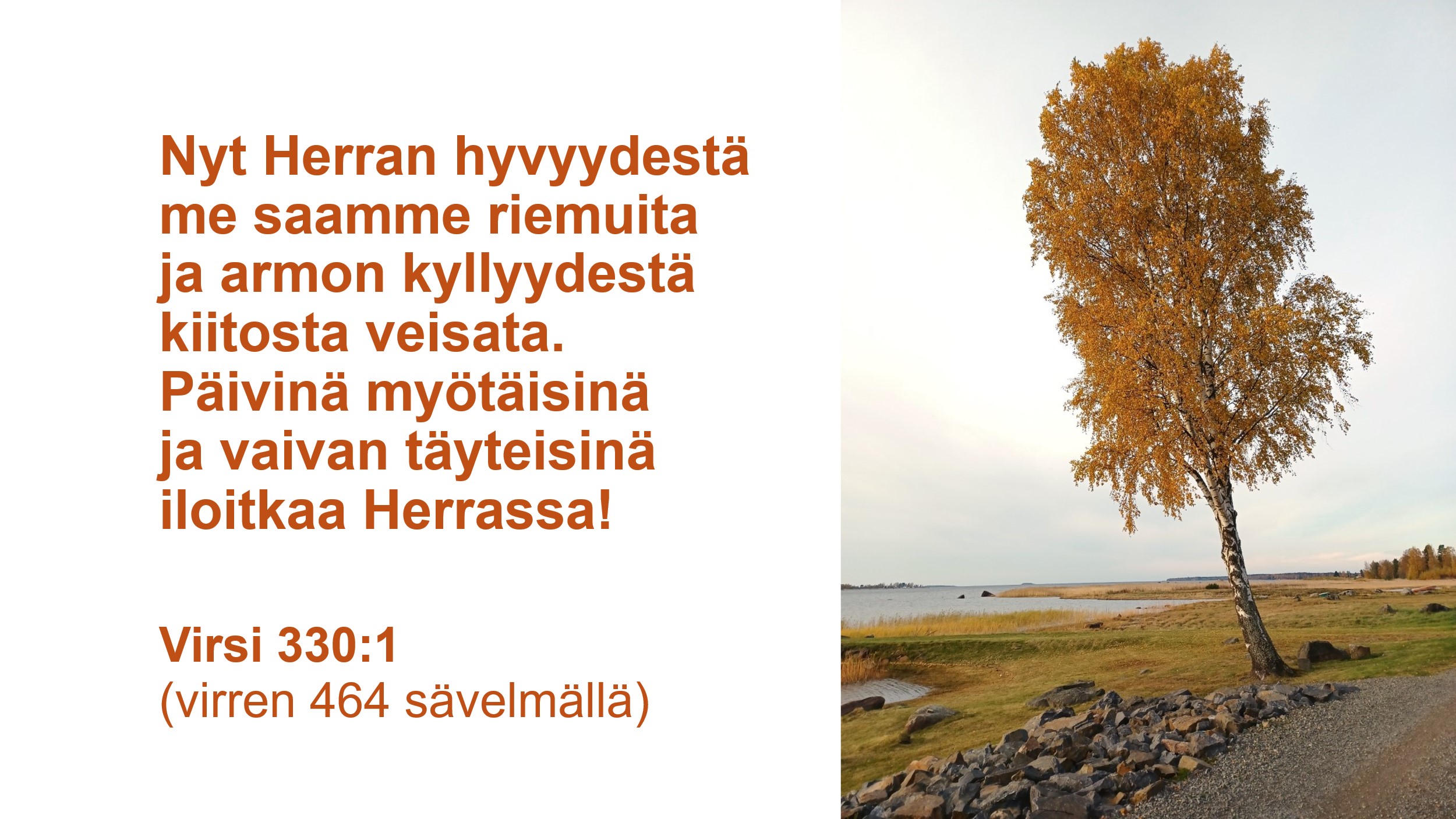 Teksti: Virsi 330:1 (virren 464 sävelmällä)  Nyt Herran hyvyydestä me saamme riemuita ja armon kyllyydestä kiitosta veisata. Päivinä myötäisinä ja vaivan täyteisinä iloitkaa Herrassa!Tekstin vieressä koivu syksyisissä väreisä rannalla.